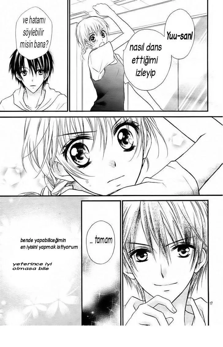 Sayfa 17