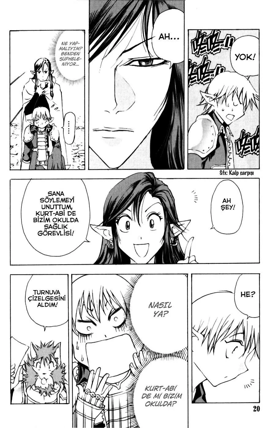 Sayfa 20