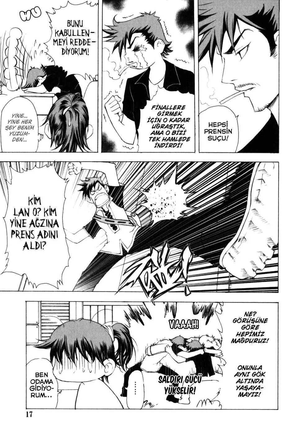 Sayfa 17
