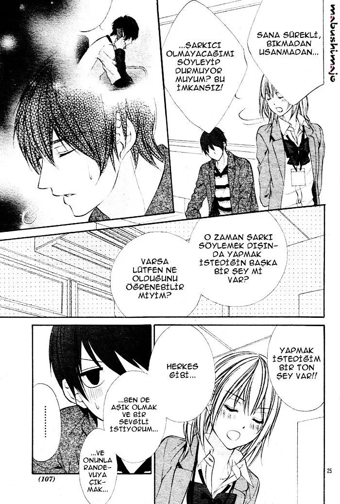 Sayfa 25