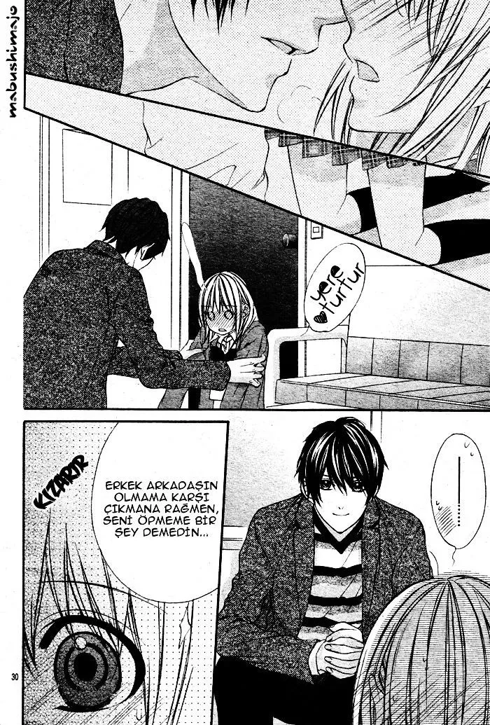 Sayfa 30