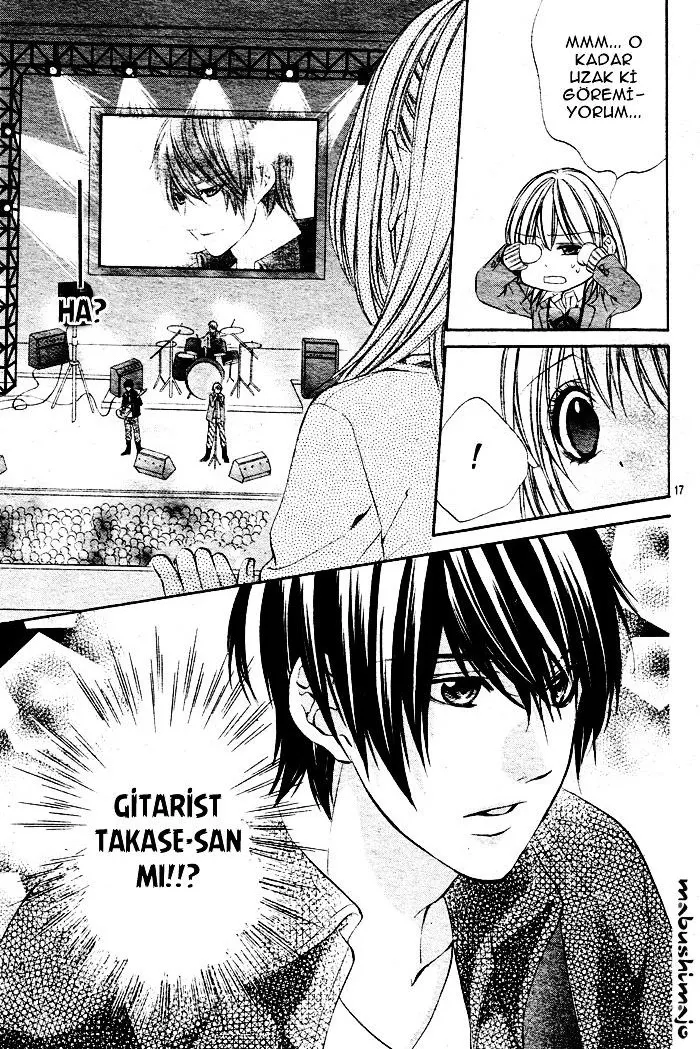 Sayfa 17