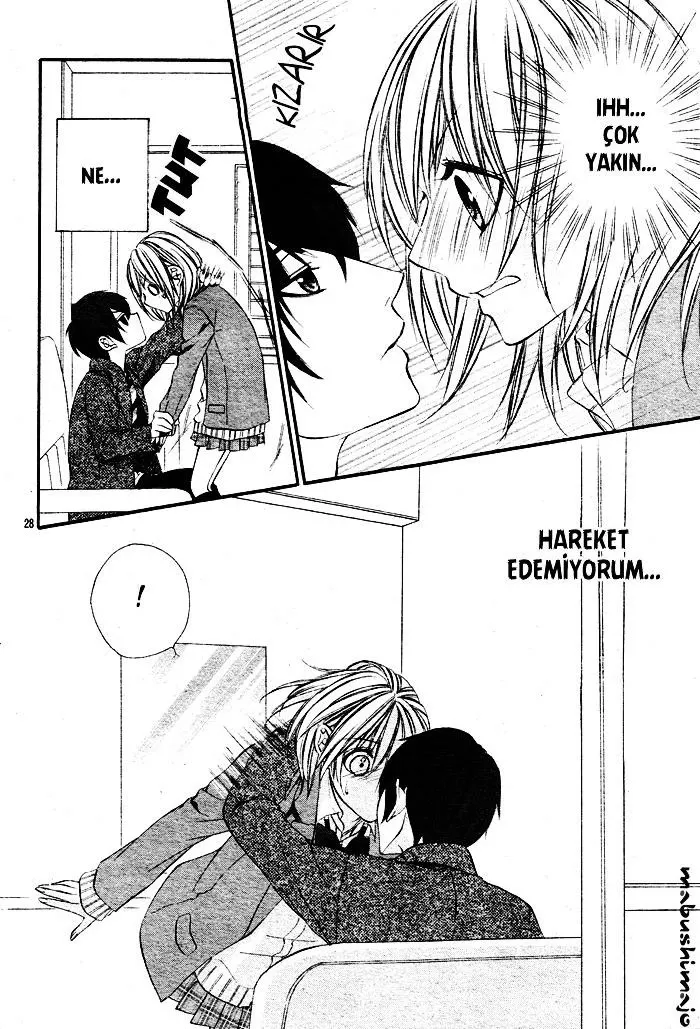 Sayfa 28