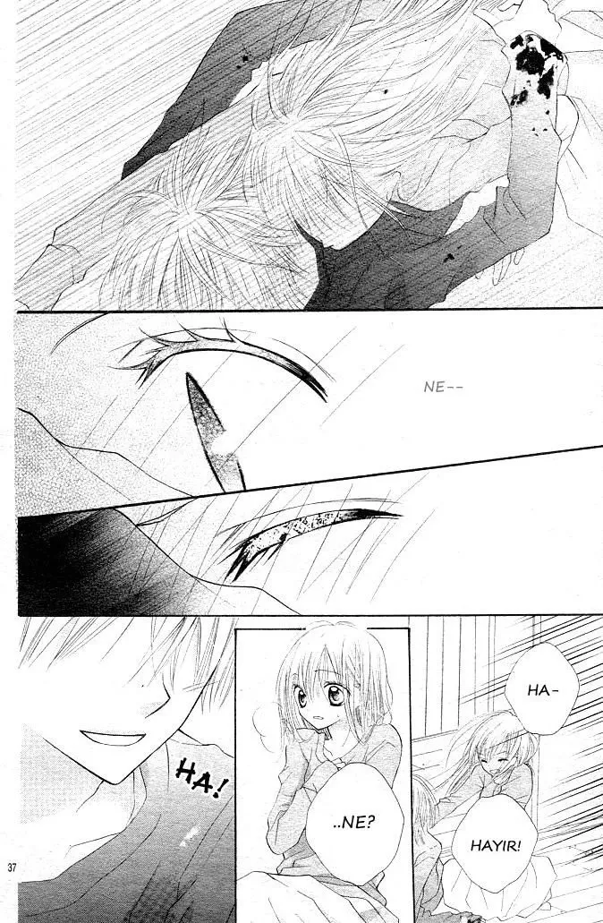 Sayfa 35