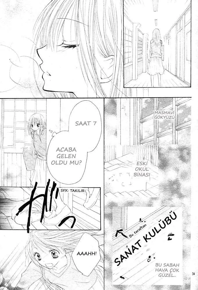 Sayfa 33