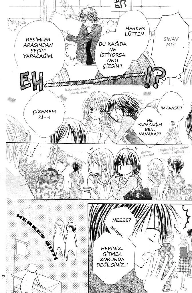 Sayfa 19