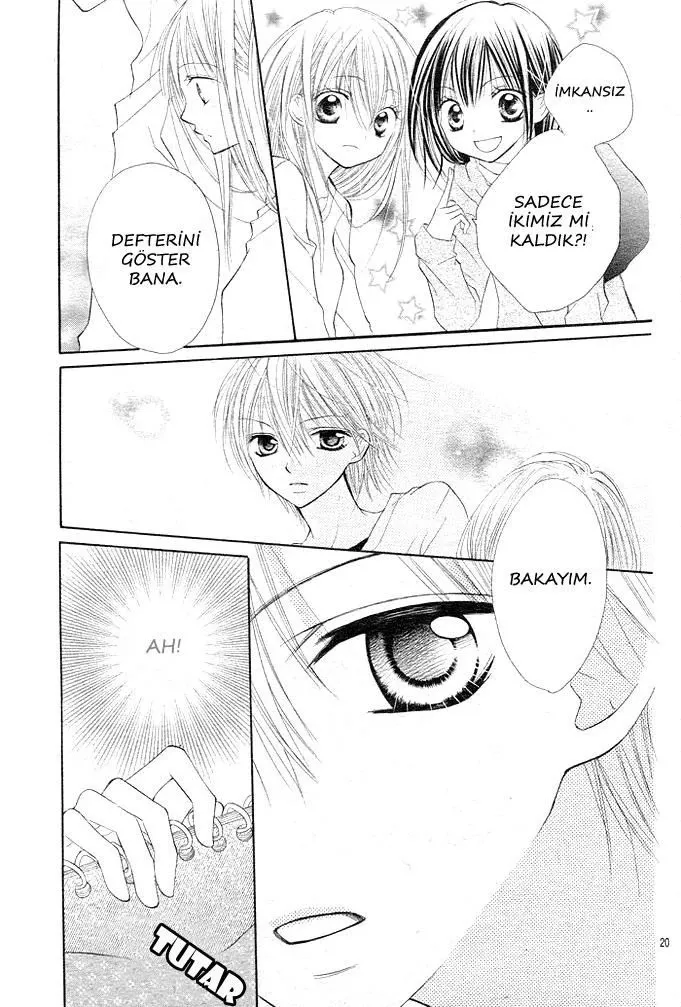 Sayfa 20