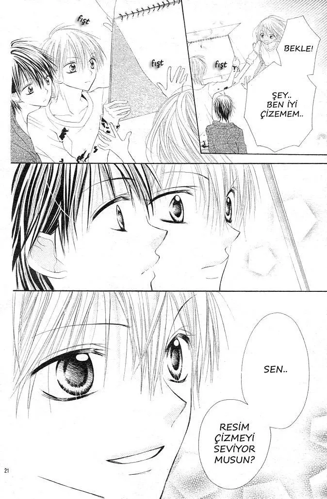 Sayfa 21