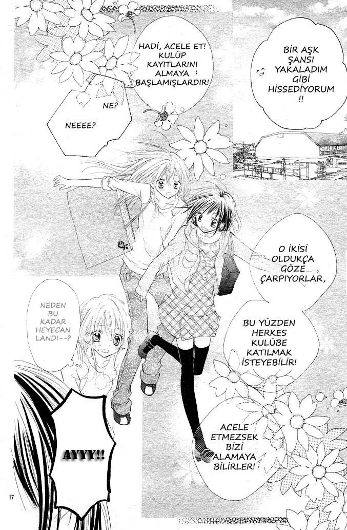 Sayfa 17