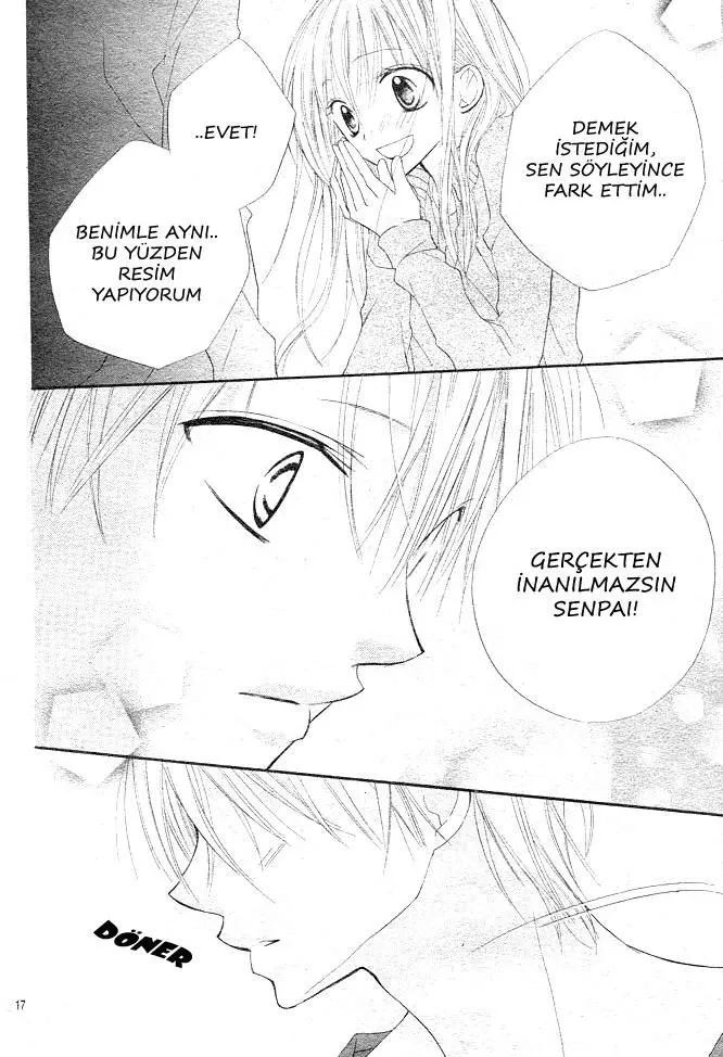 Sayfa 17