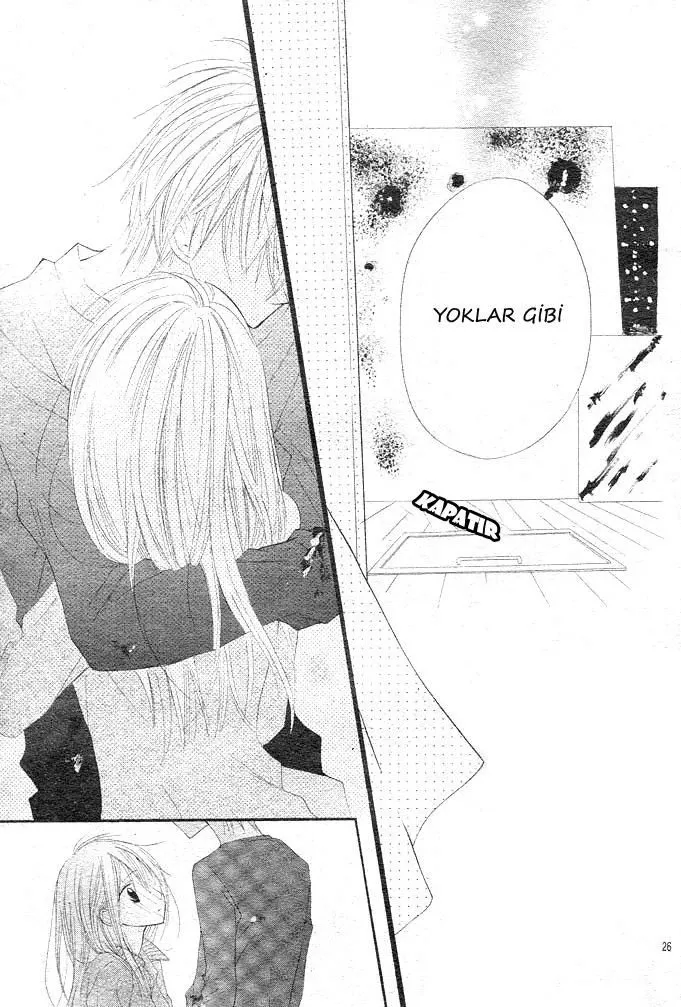 Sayfa 26