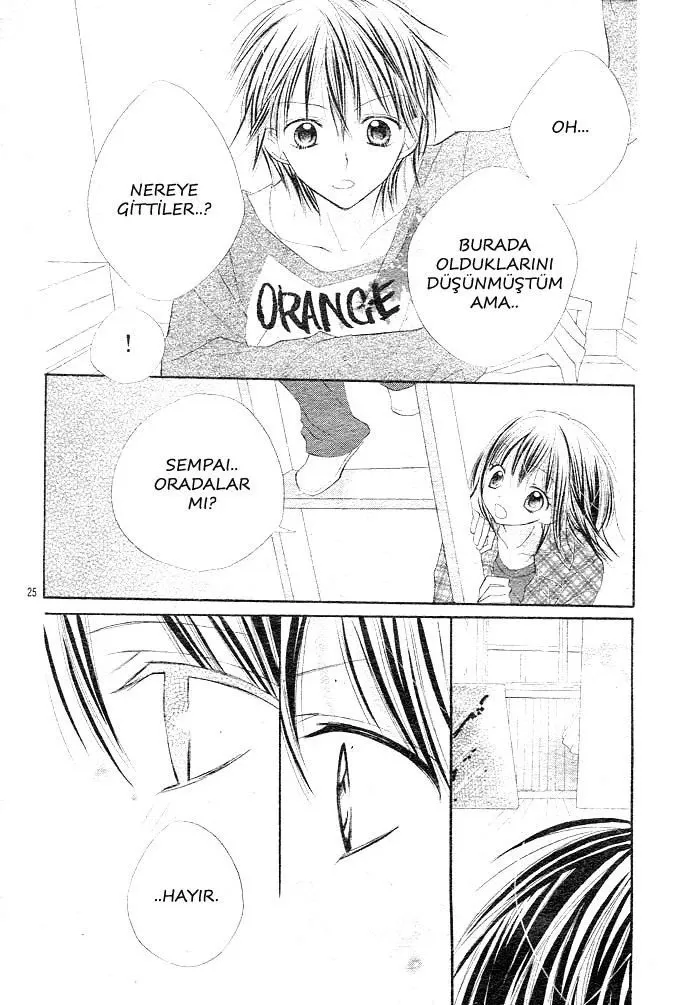 Sayfa 25