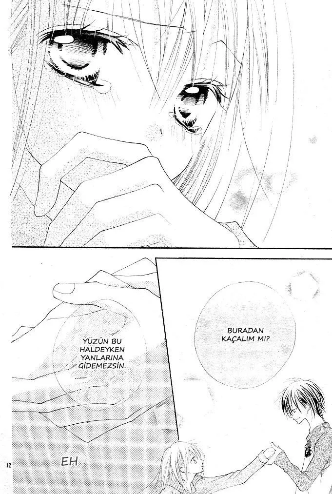 Sayfa 13
