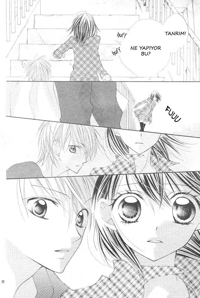 Sayfa 30