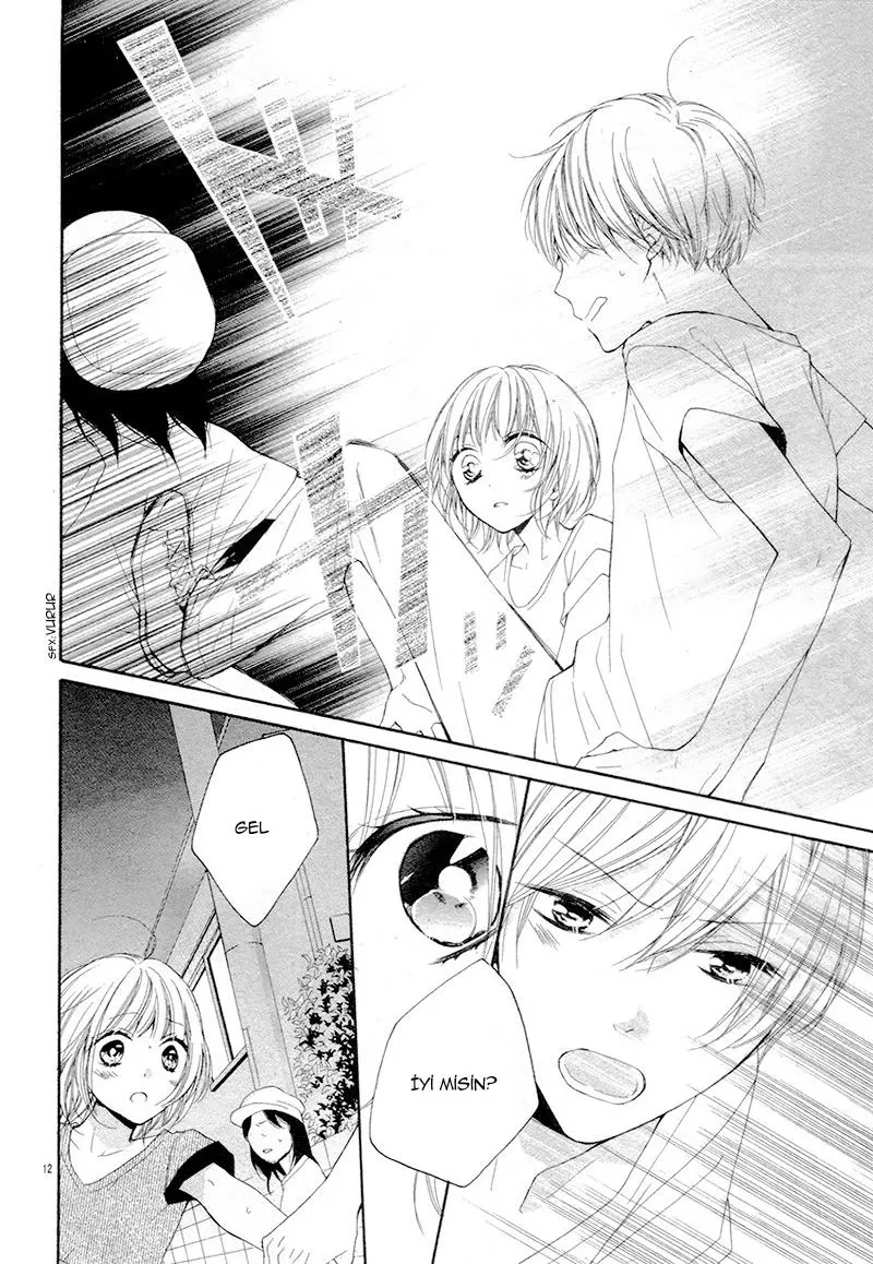 Sayfa 12