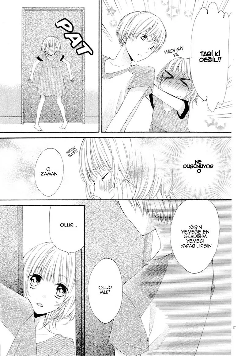 Sayfa 17