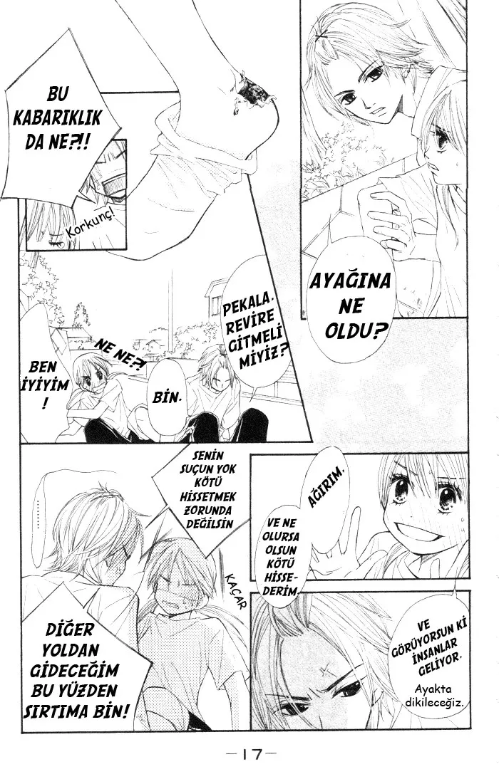 Sayfa 17