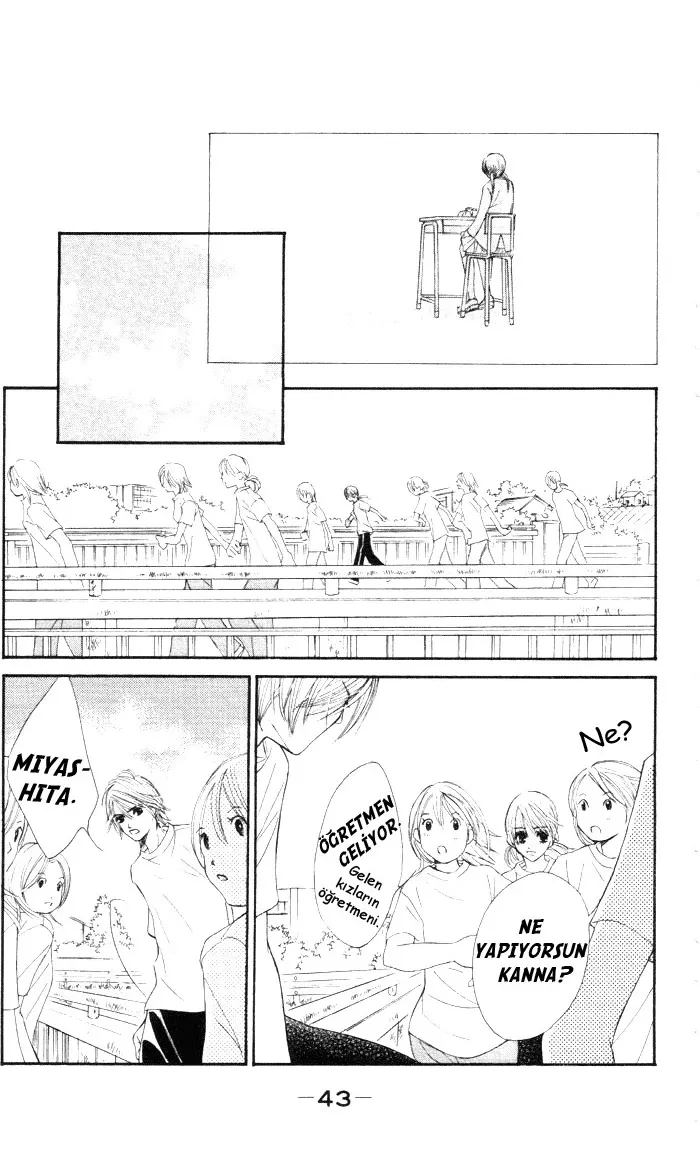 Sayfa 43