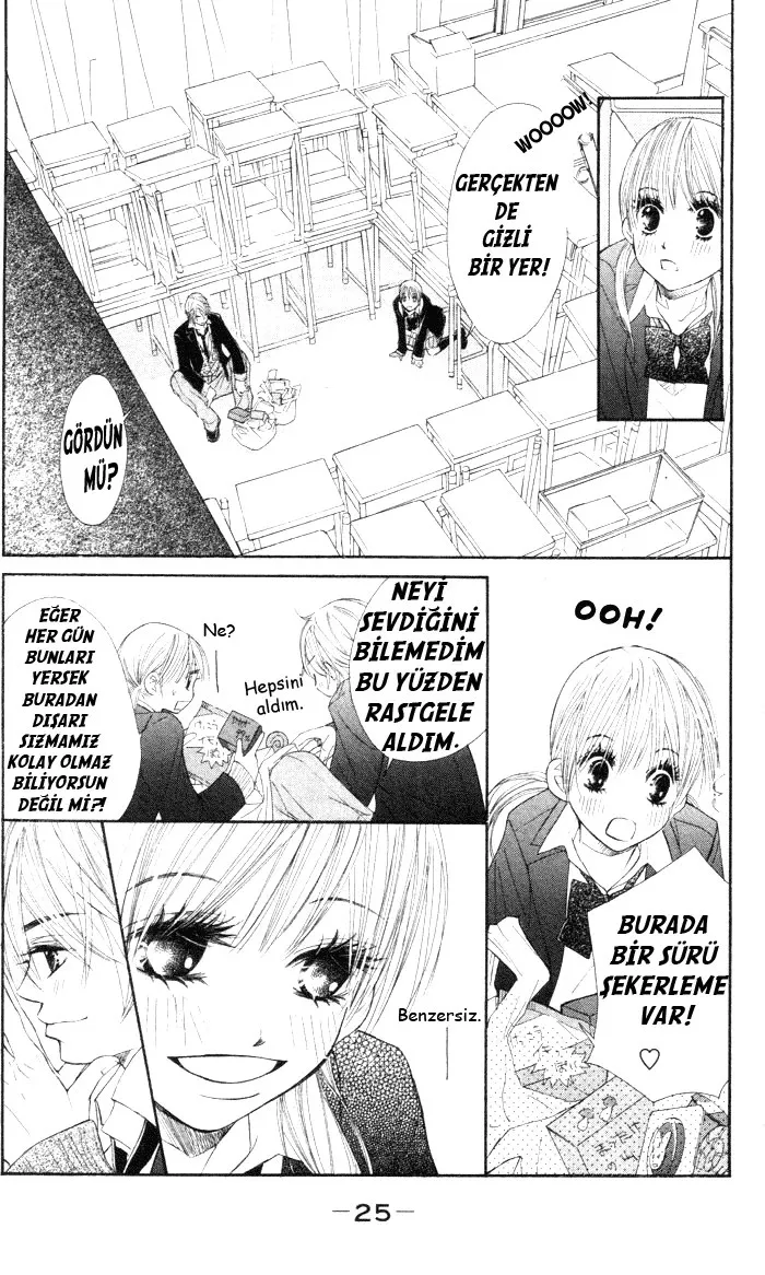 Sayfa 25