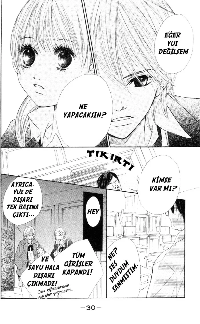 Sayfa 30