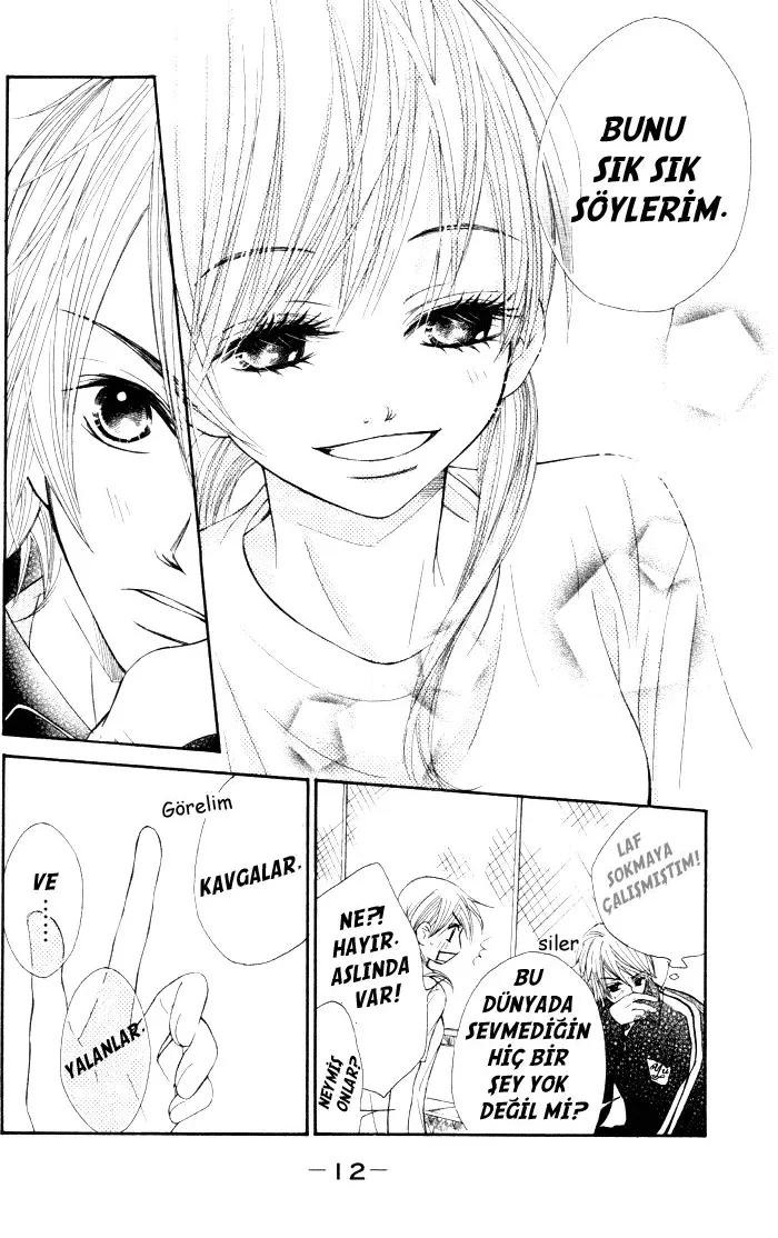 Sayfa 12