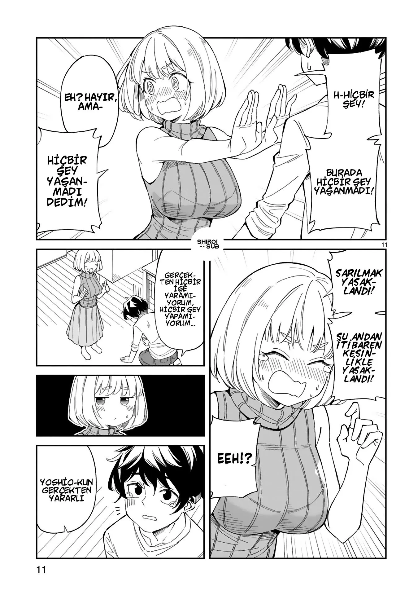 Sayfa 11