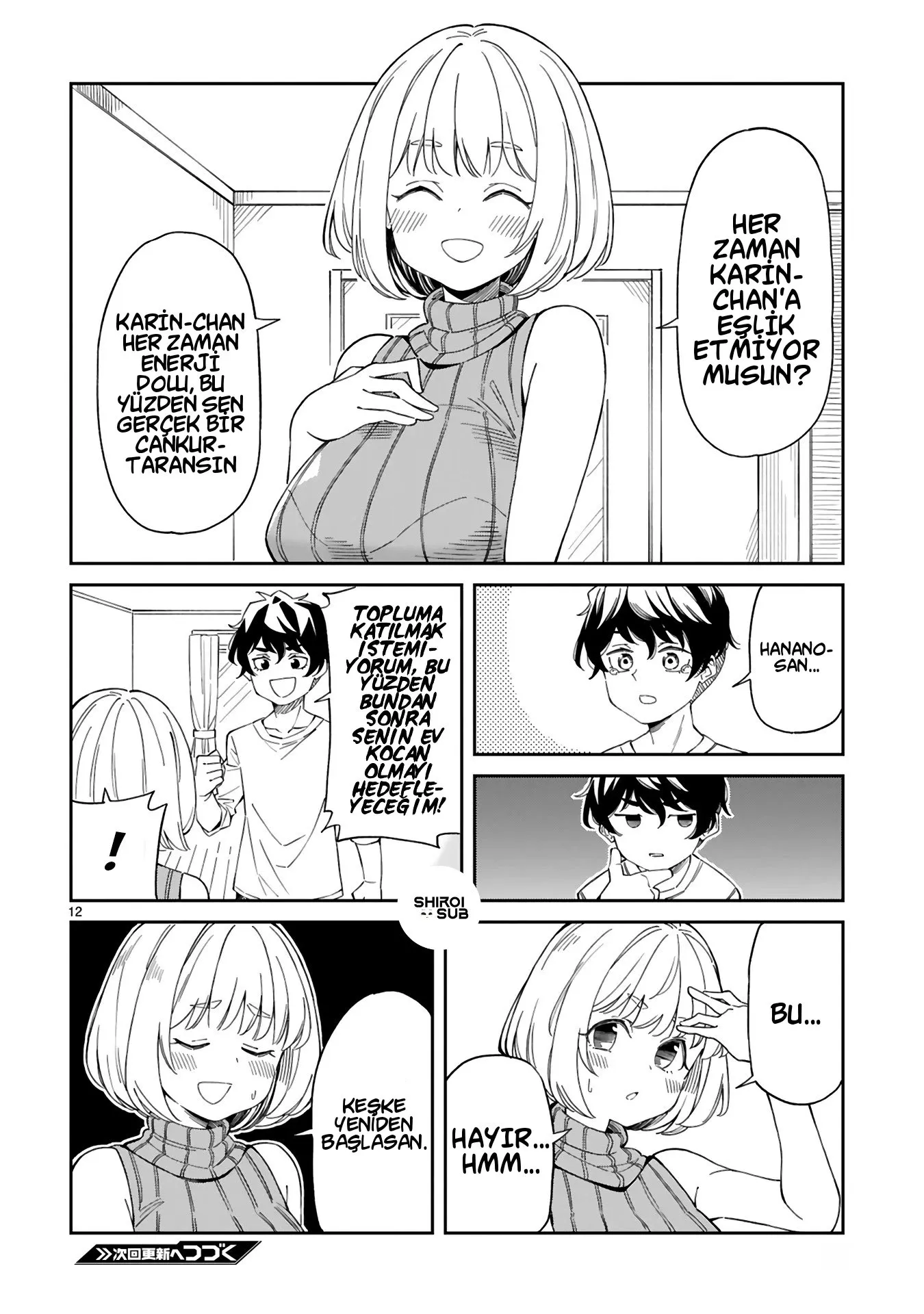 Sayfa 12