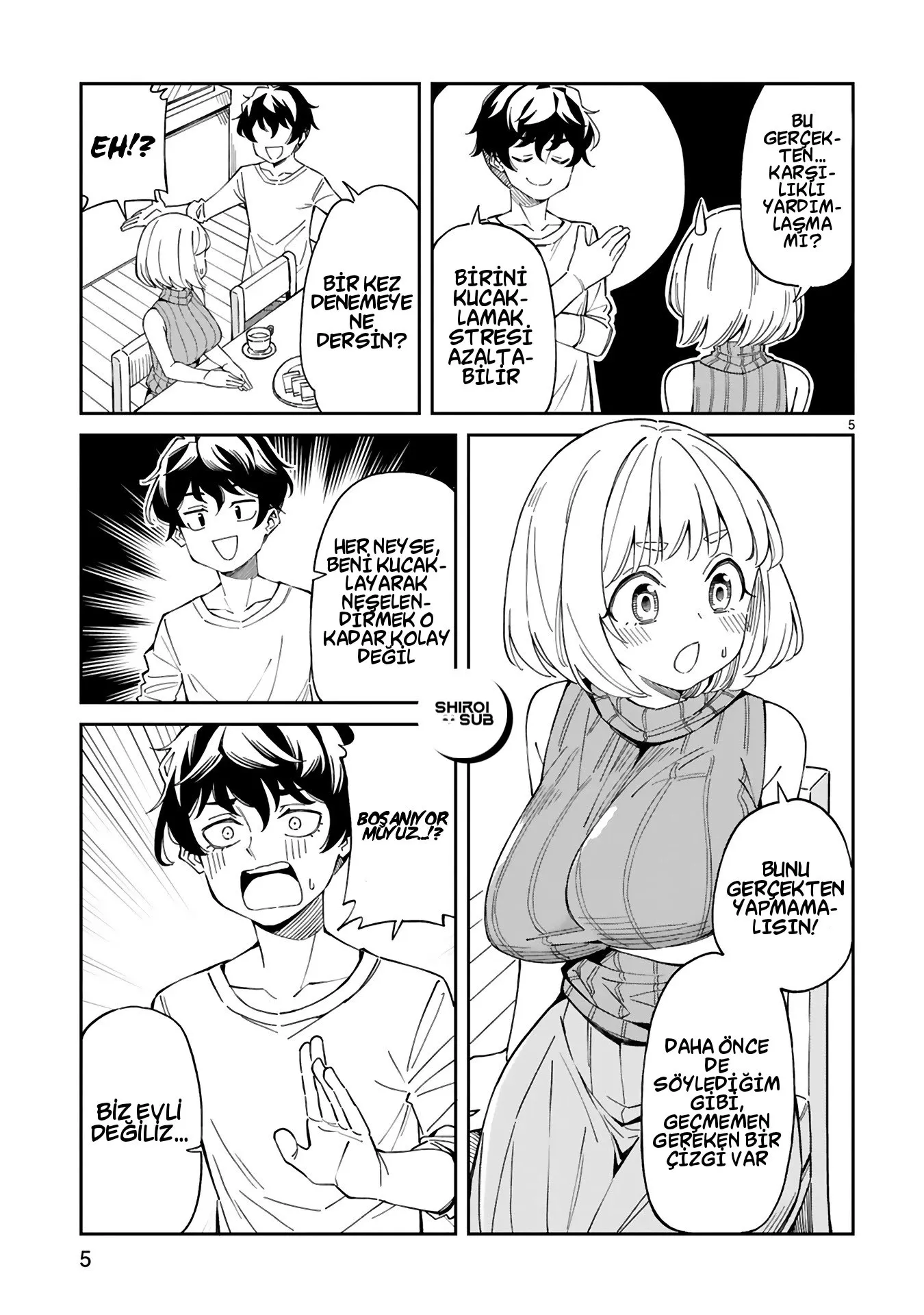 Sayfa 5