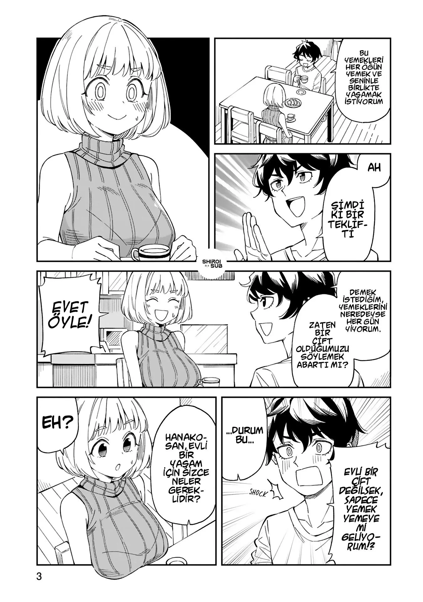 Sayfa 3