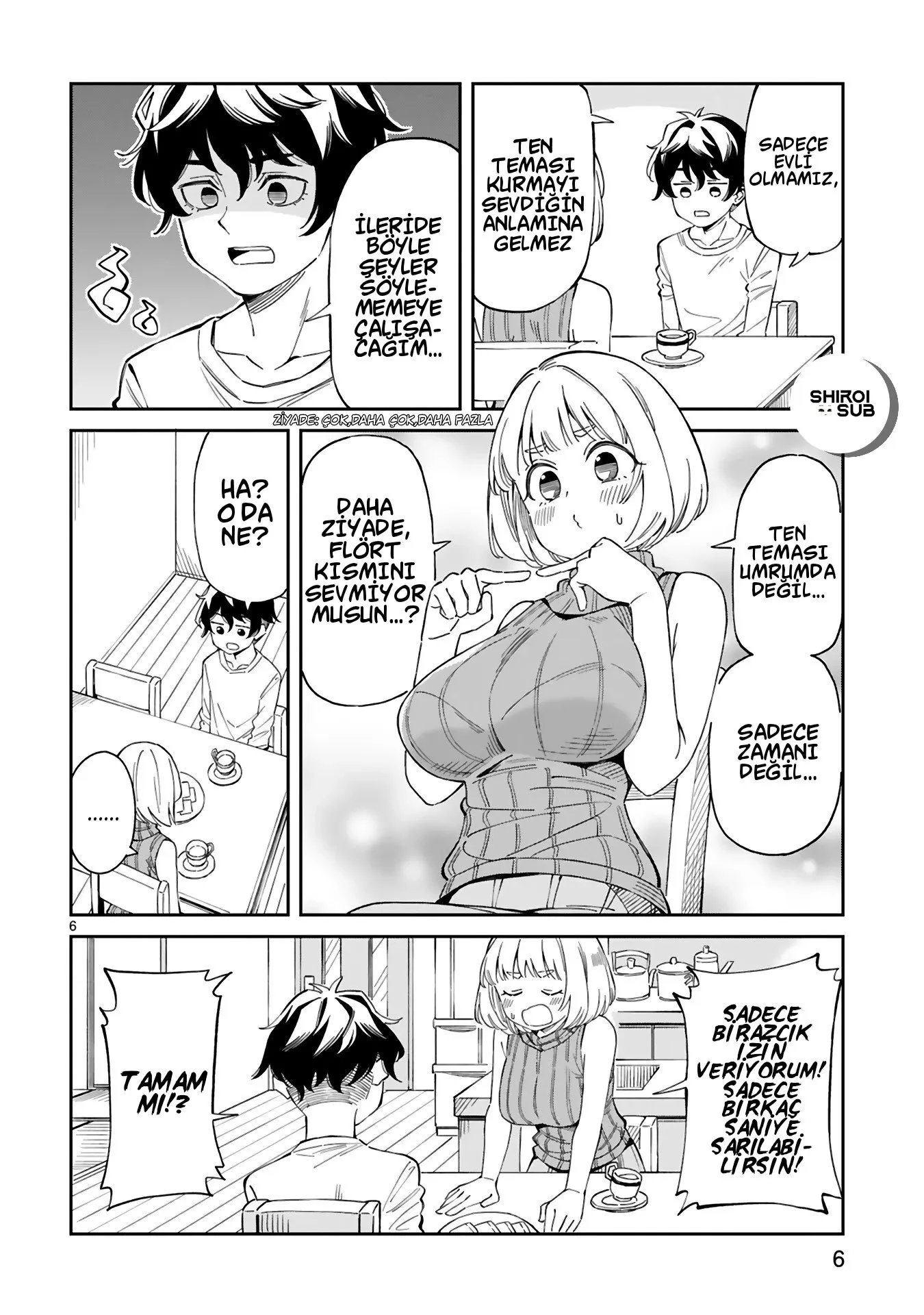 Sayfa 6