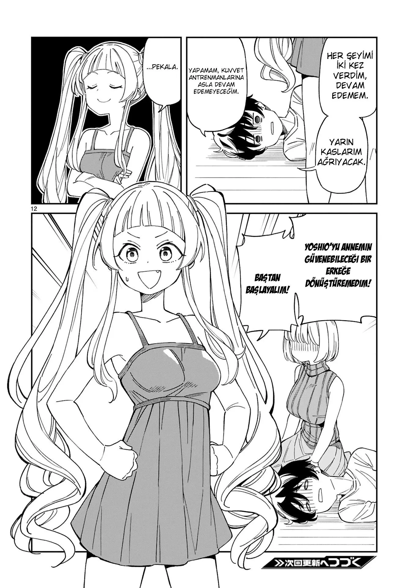 Sayfa 12