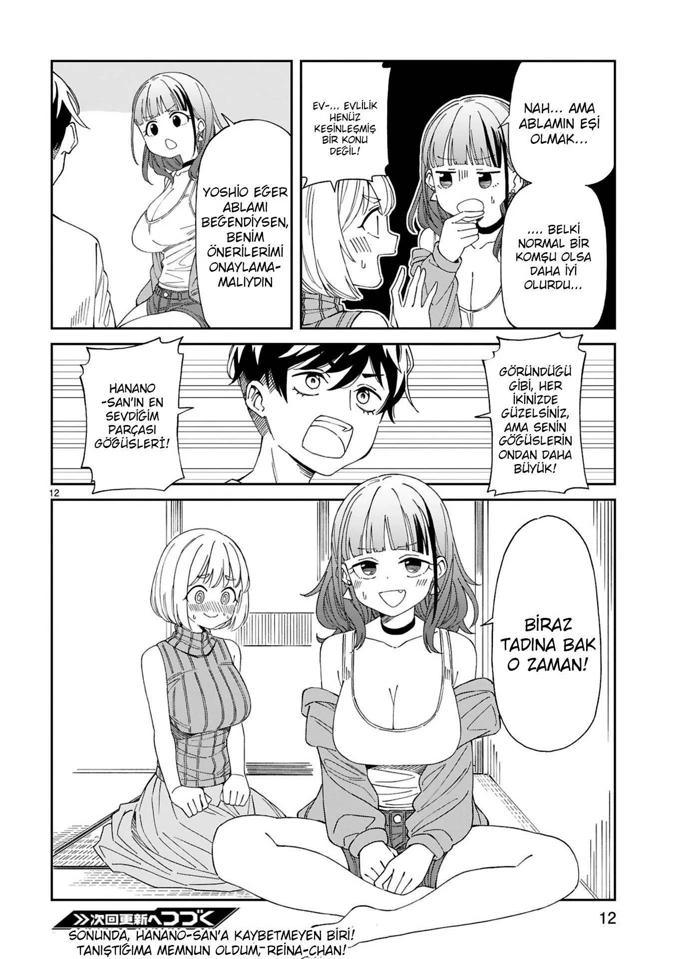 Sayfa 12