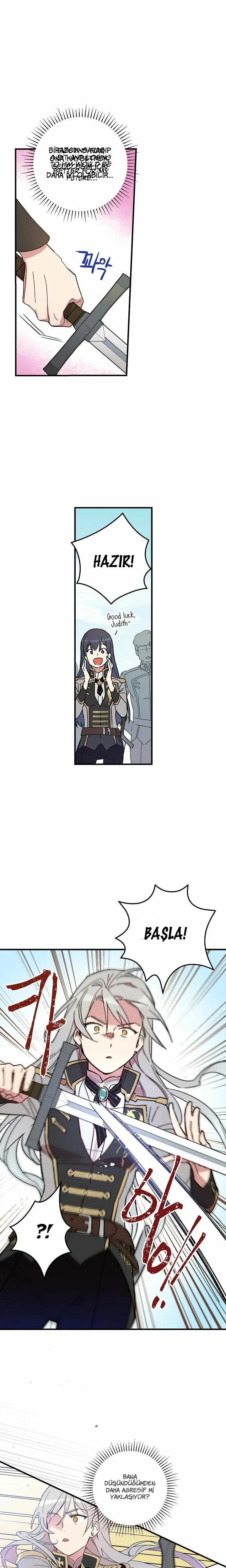 Sayfa 17
