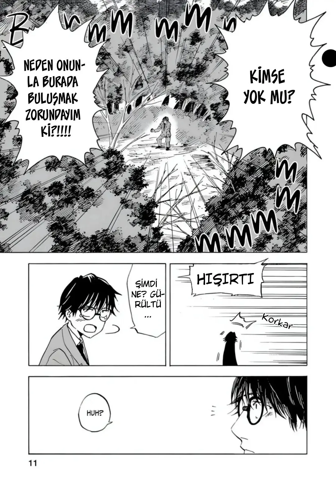 Sayfa 11