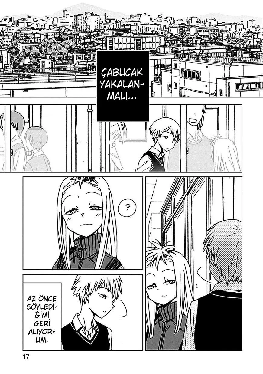 Sayfa 17