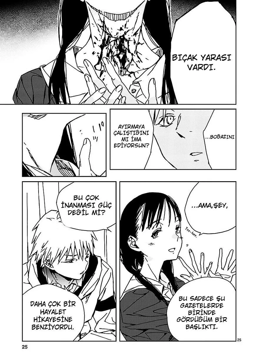 Sayfa 25