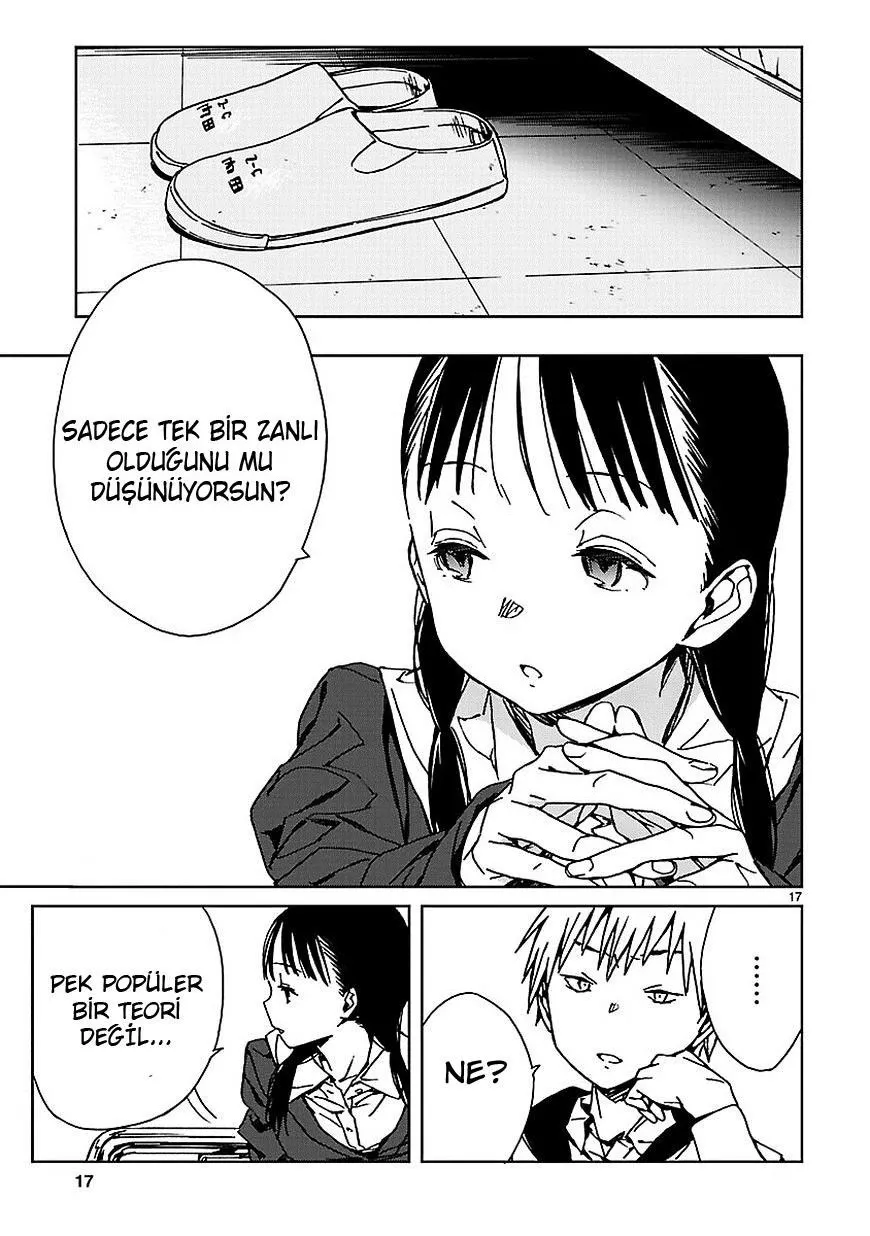 Sayfa 17