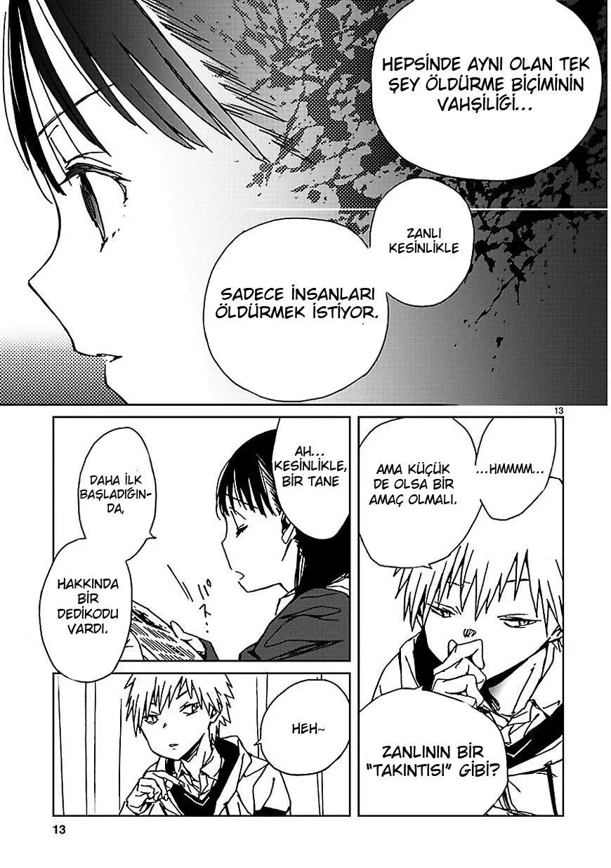 Sayfa 13