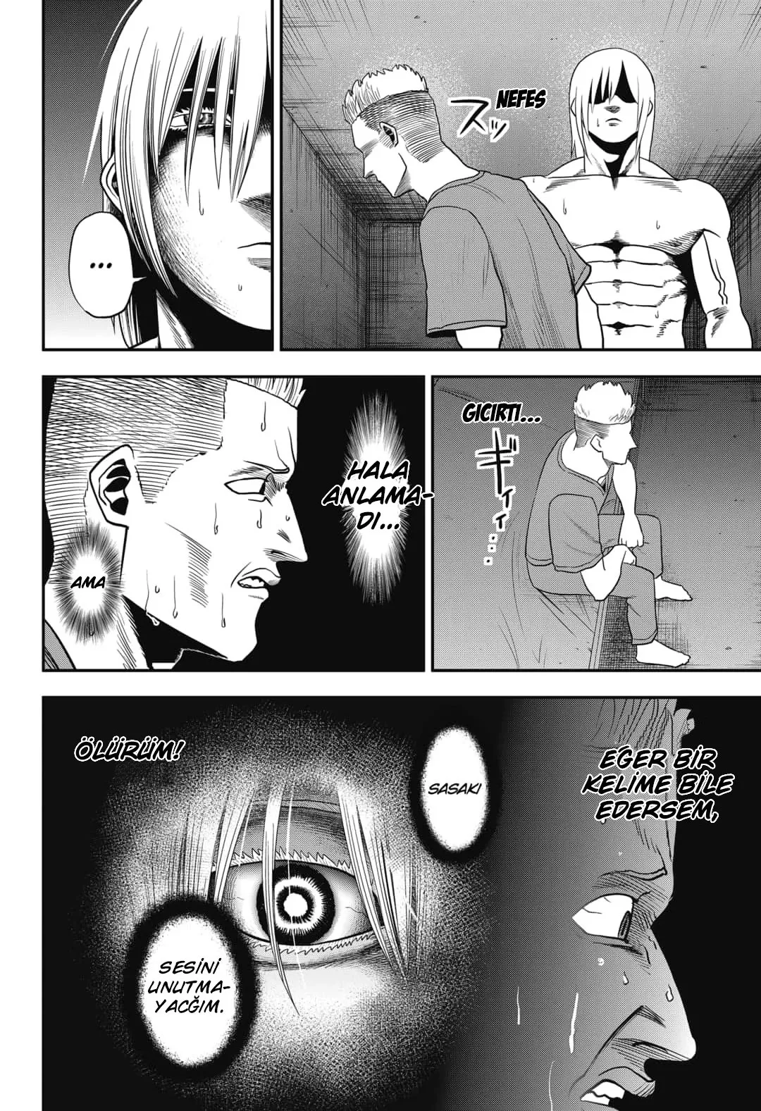 Sayfa 13