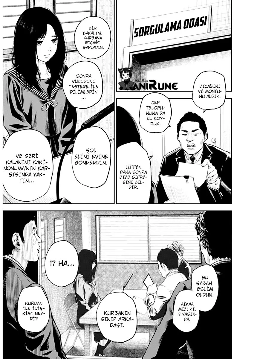 Sayfa 17