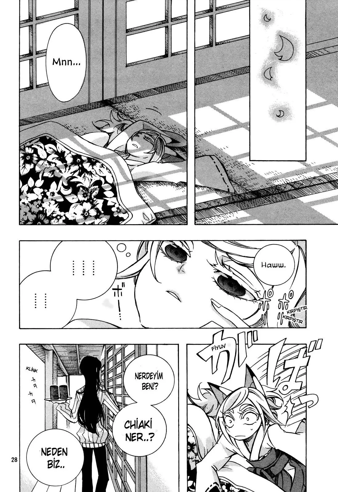 Sayfa 28