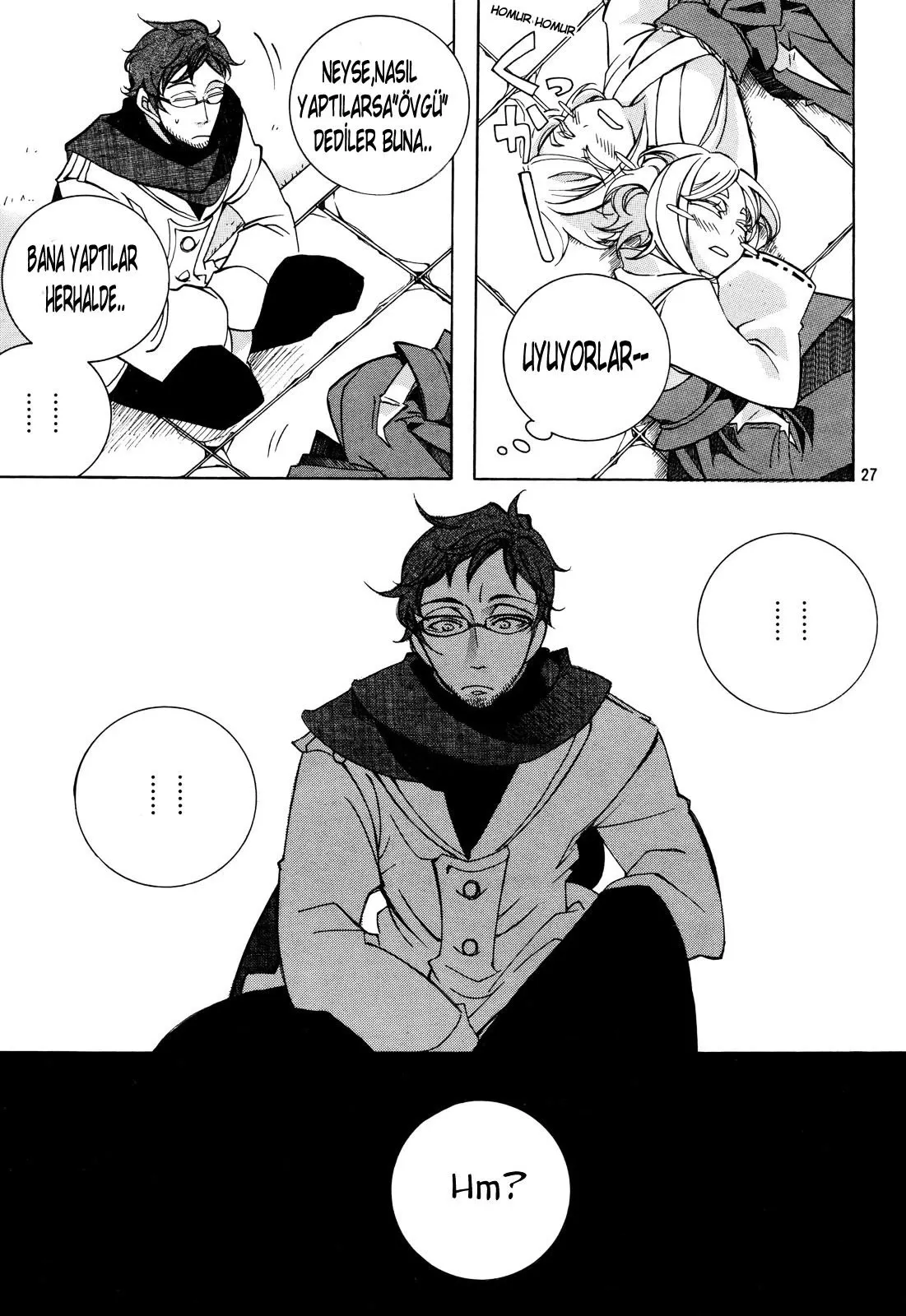 Sayfa 27
