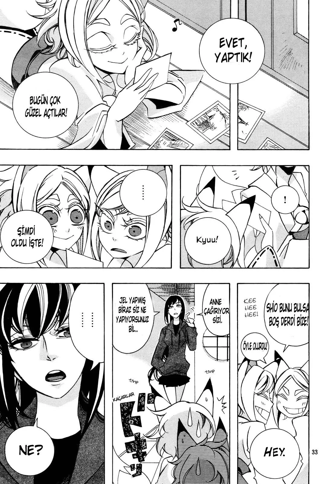 Sayfa 33
