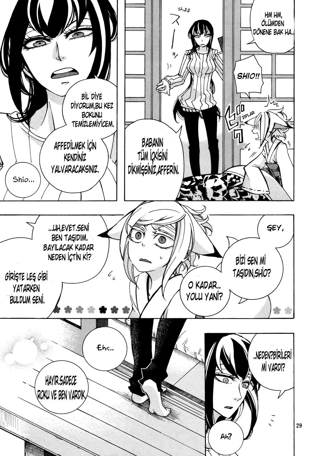 Sayfa 29