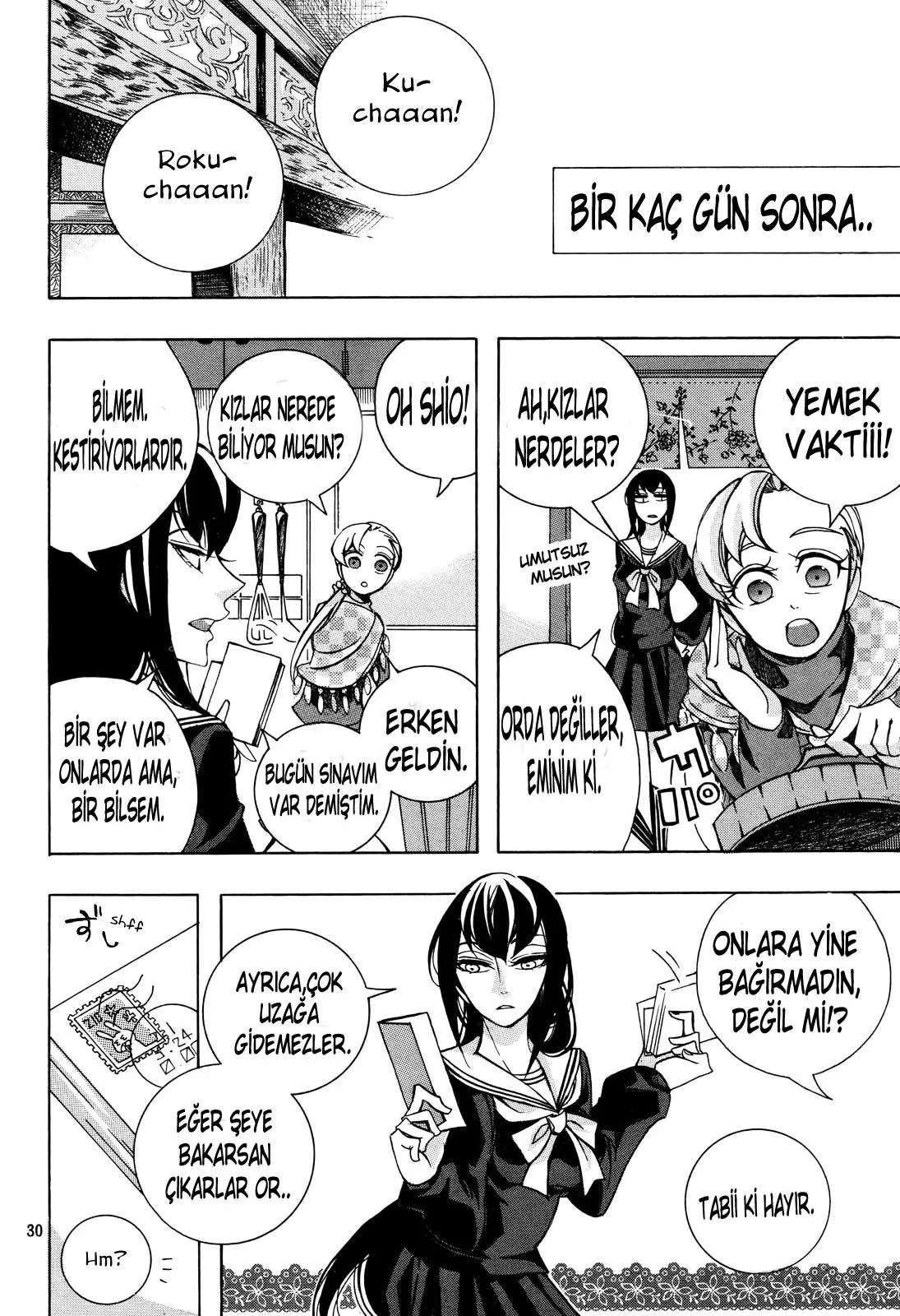 Sayfa 30
