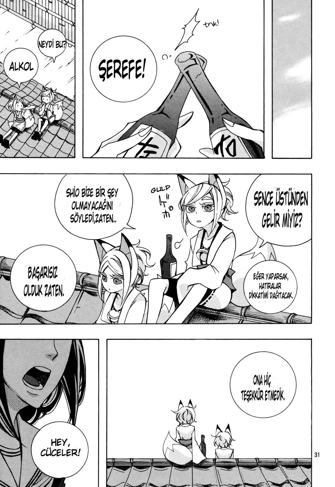 Sayfa 31