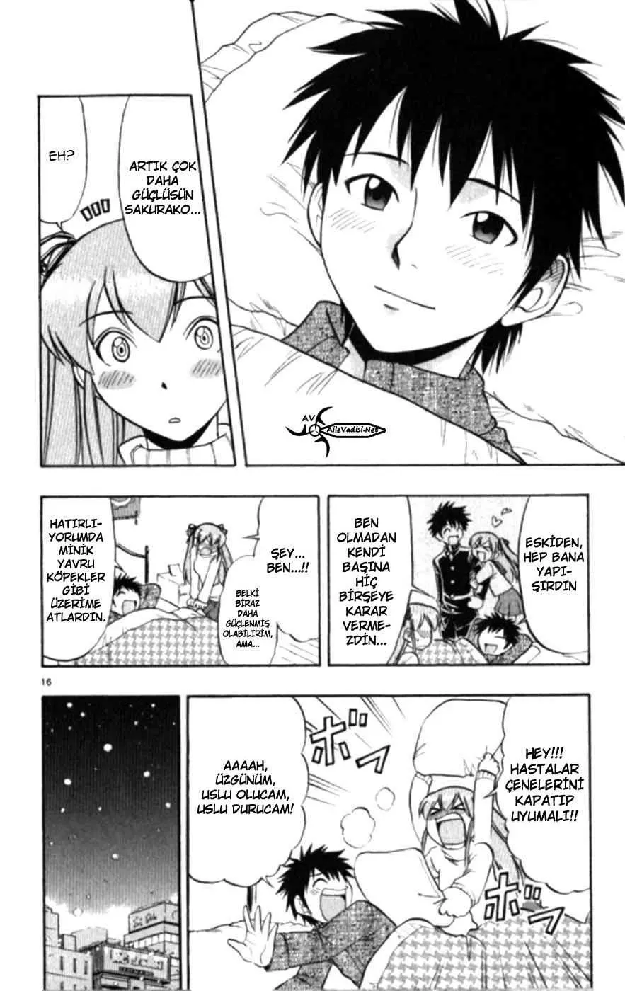 Sayfa 17