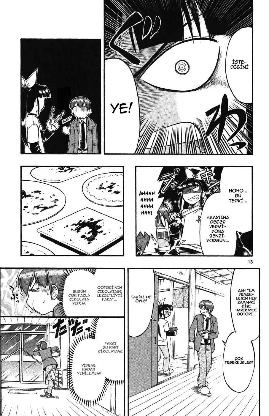 Sayfa 13