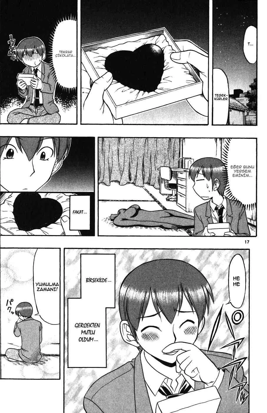 Sayfa 17