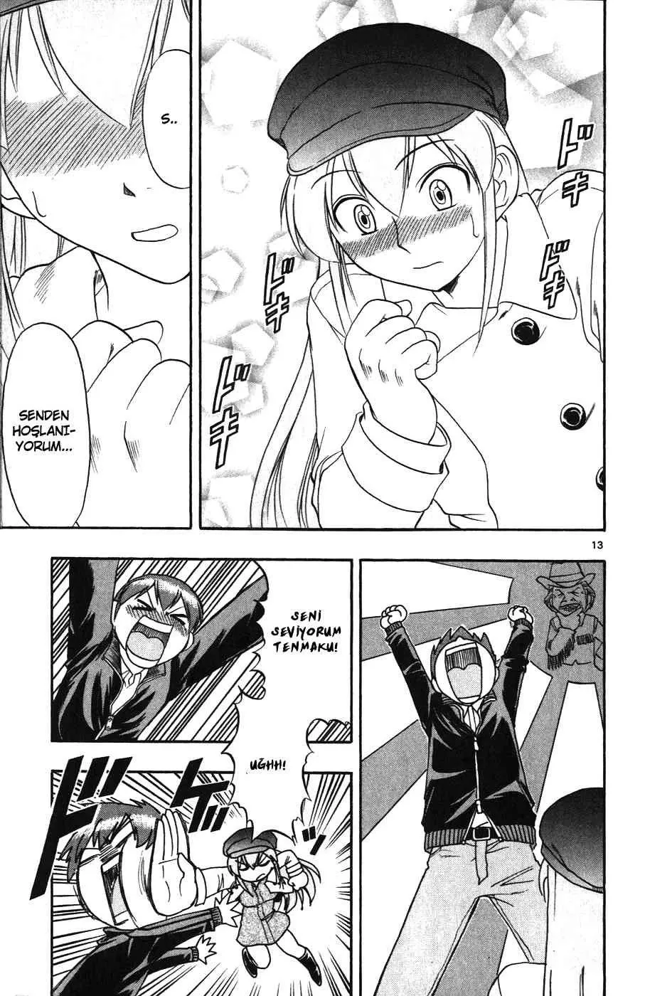 Sayfa 13